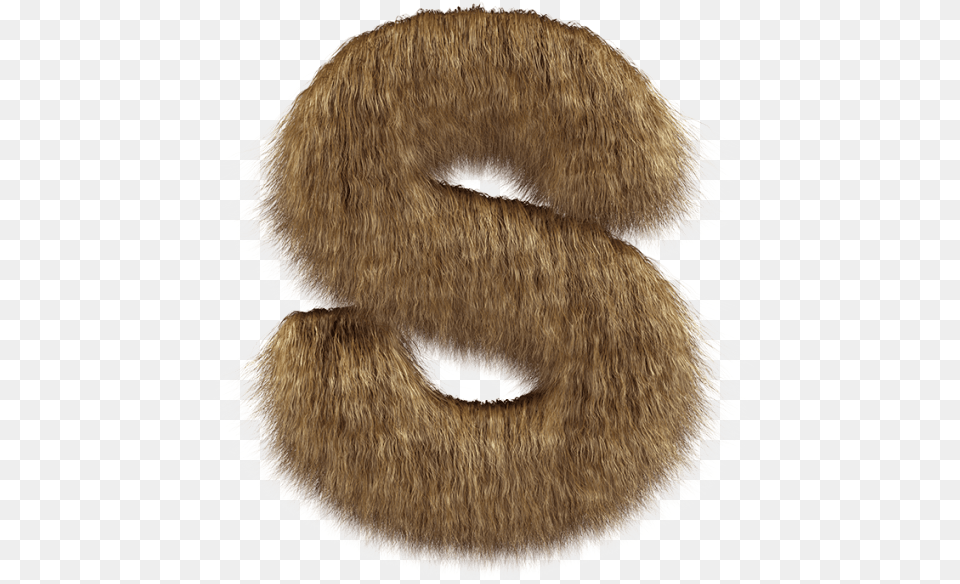 Hair Font Pet An Animal, Clothing, Fur, Bear, Mammal Png Image