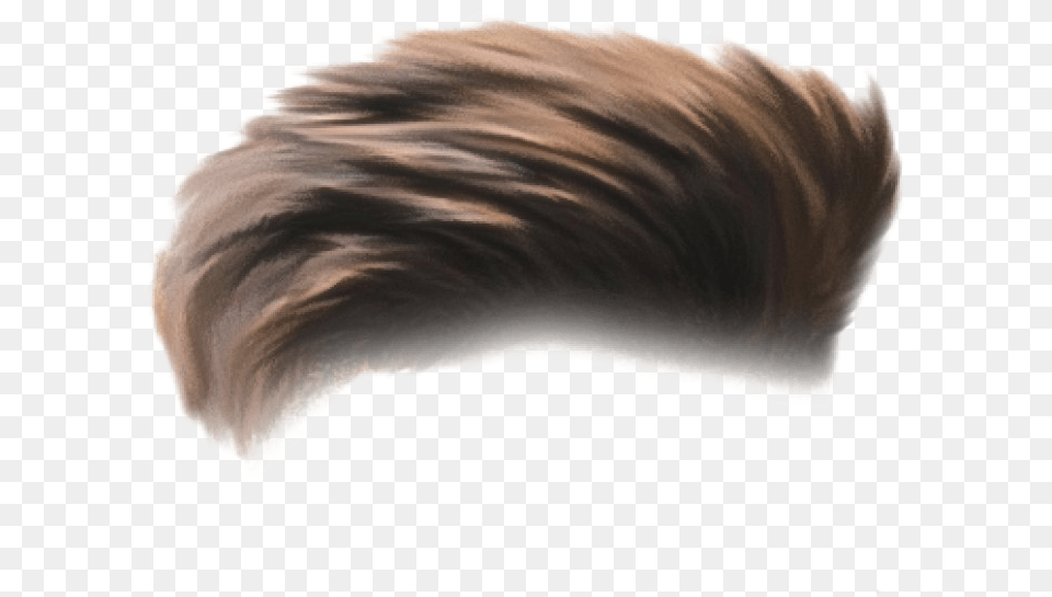 Hair For Boy, Baby, Person Png