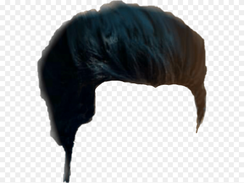 Hair Hair Cb Picsart Hair Cb Hair Crow, Person, Outdoors Png