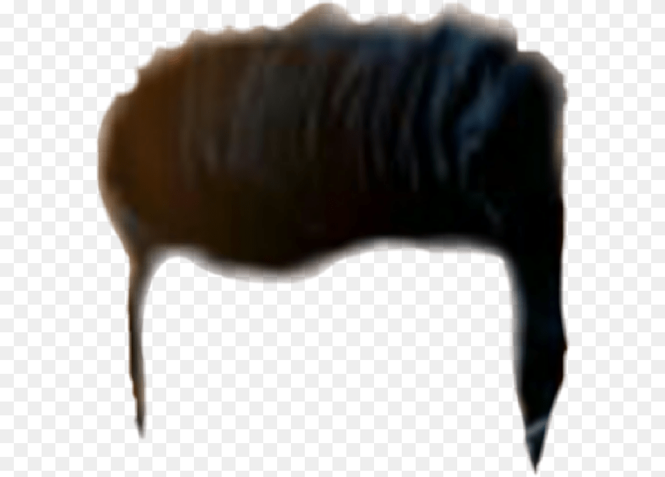 Hair Hair Cb Picsart Hair Cb Hair Insect, Cushion, Furniture, Home Decor, Couch Png Image