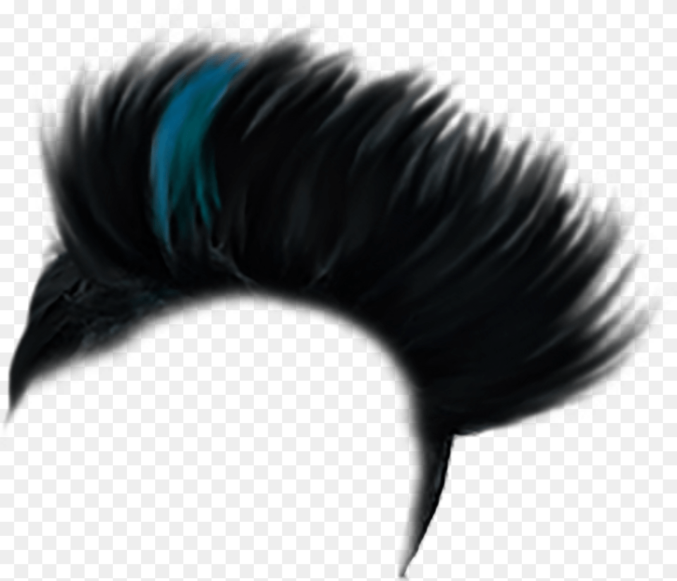 Hair Hair Picsart Photo Studio, Mohawk Hairstyle, Person, Animal, Bird Free Transparent Png