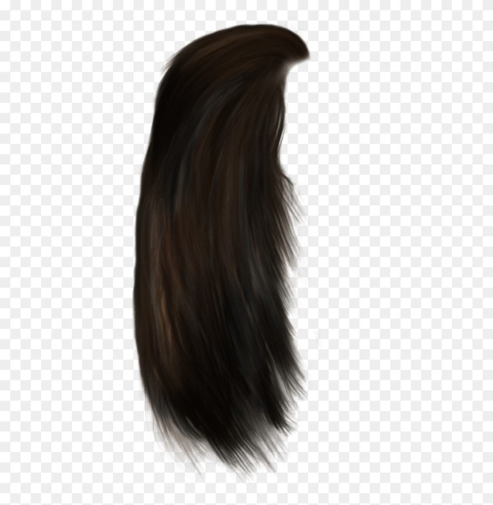 Hair Hairstyle Wigs Lace Wig, Accessories, Person, Woman, Female Png