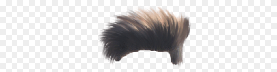 Hair Hd Download, Person Free Png