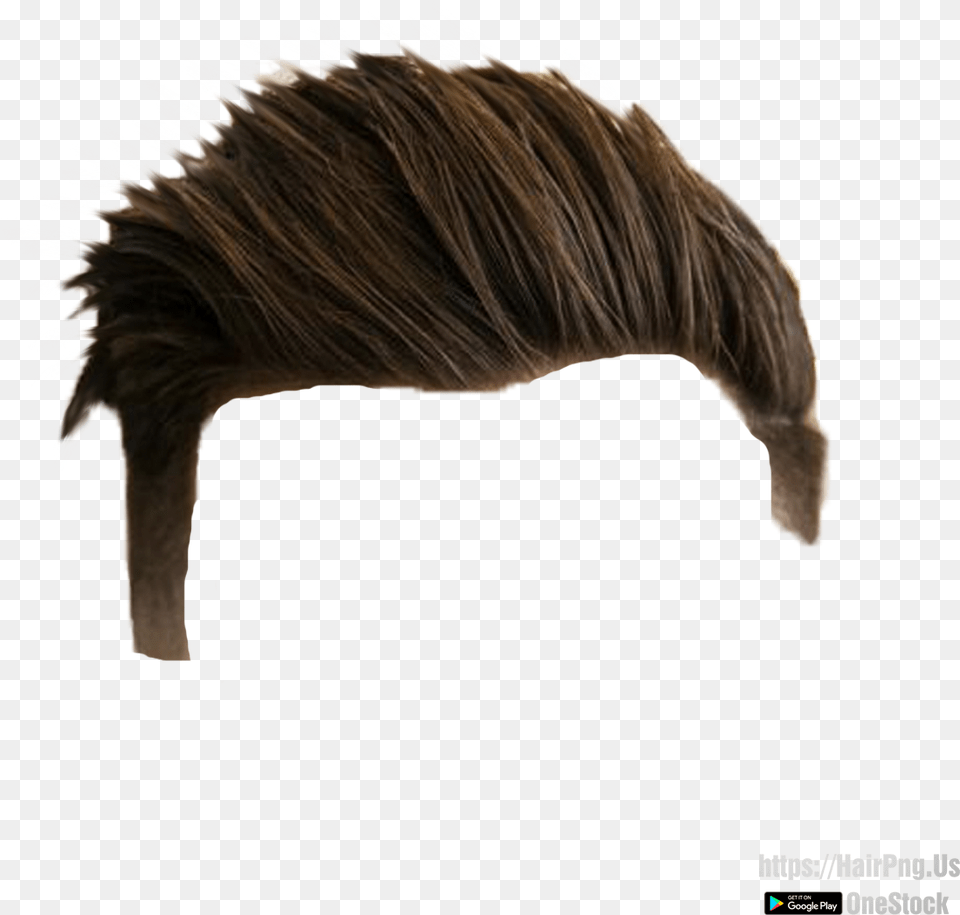 Hair Hd Hair, Animal, Mammal, Wildlife, Zebra Free Png