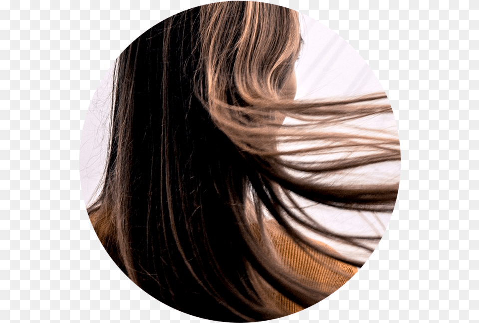 Hair Head Hair, Photography, Adult, Female, Person Png Image