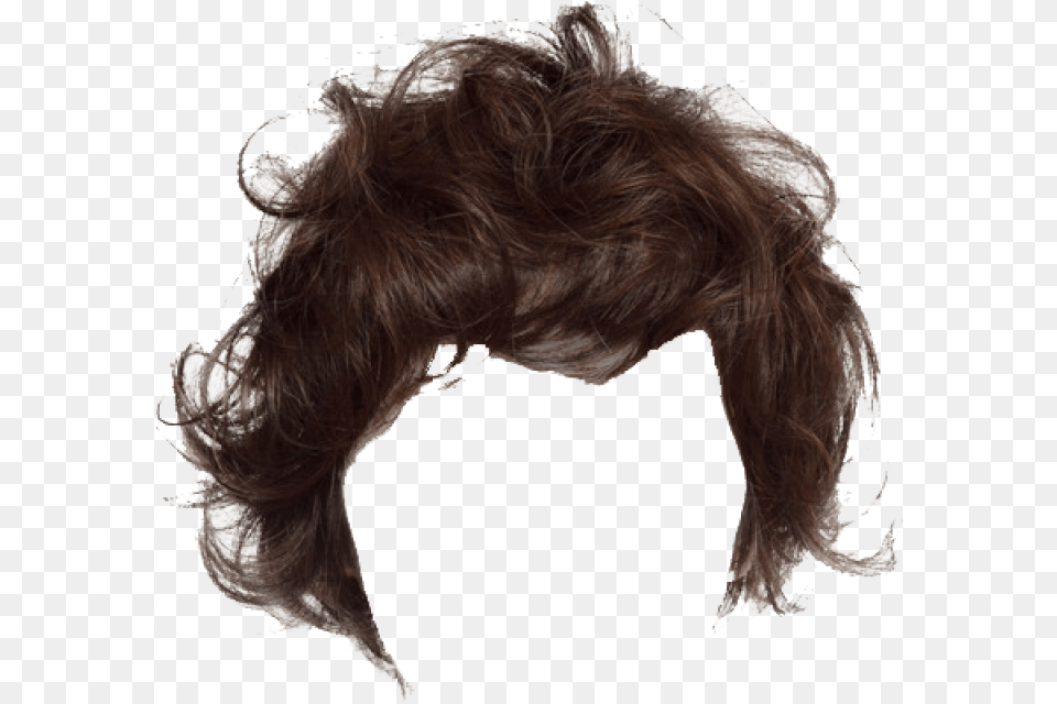 Hair Image Long Hair Transparent Man, Adult, Female, Person, Woman Free Png Download
