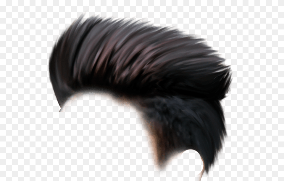 Hair Images Picsart Hair Hd, Adult, Male, Man, Person Free Transparent Png