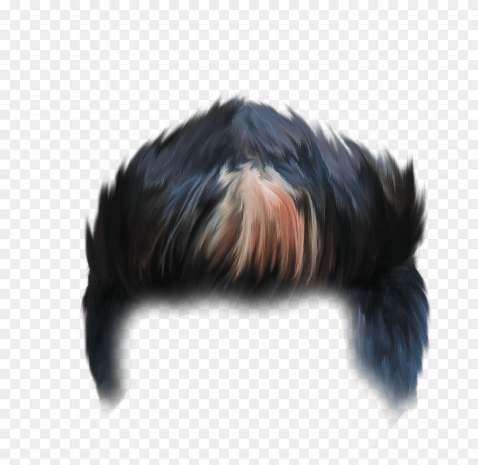 Hair Instagram, Animal, Bird, Mammal Png