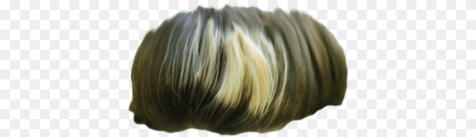 Hair Lace Wig, Blonde, Person, Adult, Female Free Png Download