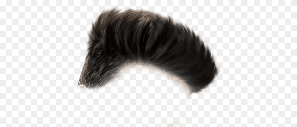 Hair Lace Wig, Person, Mohawk Hairstyle, Baby, Animal Free Png