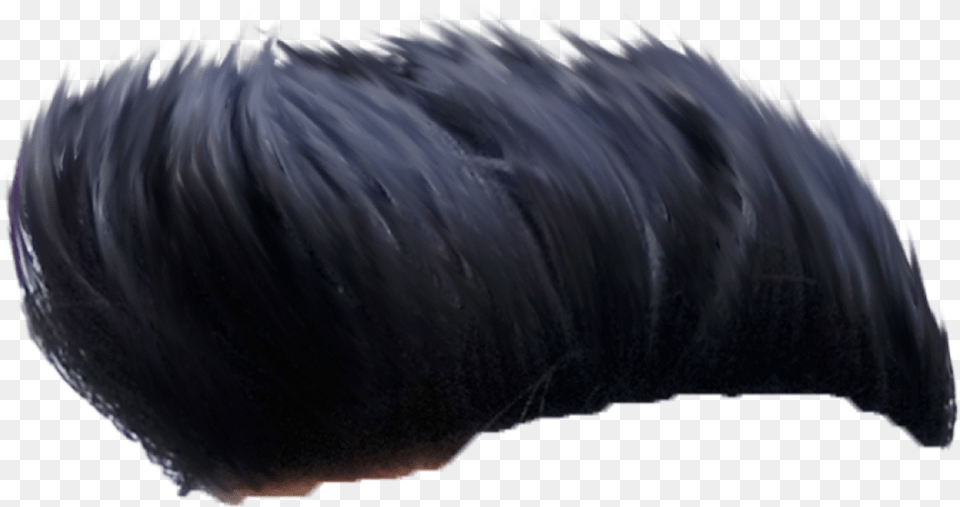 Hair Leather, Black Hair, Person, Baby Png