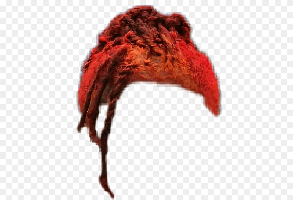 Hair Lil Uzi Vert Liluzivert Uzivert Liluzi Red Redhair Lil Uzi Hair, Clothing, Hat, Person, Nature Free Transparent Png