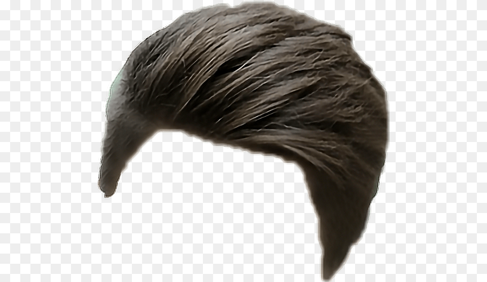 Hair Manhair Menhairstyle Manhair Man Men Men Hairstyle For Picsart, Animal, Bird, Person Png