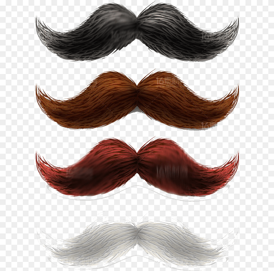 Hair Men Brown Mustache Beard Clipart, Face, Head, Person, Adult Png