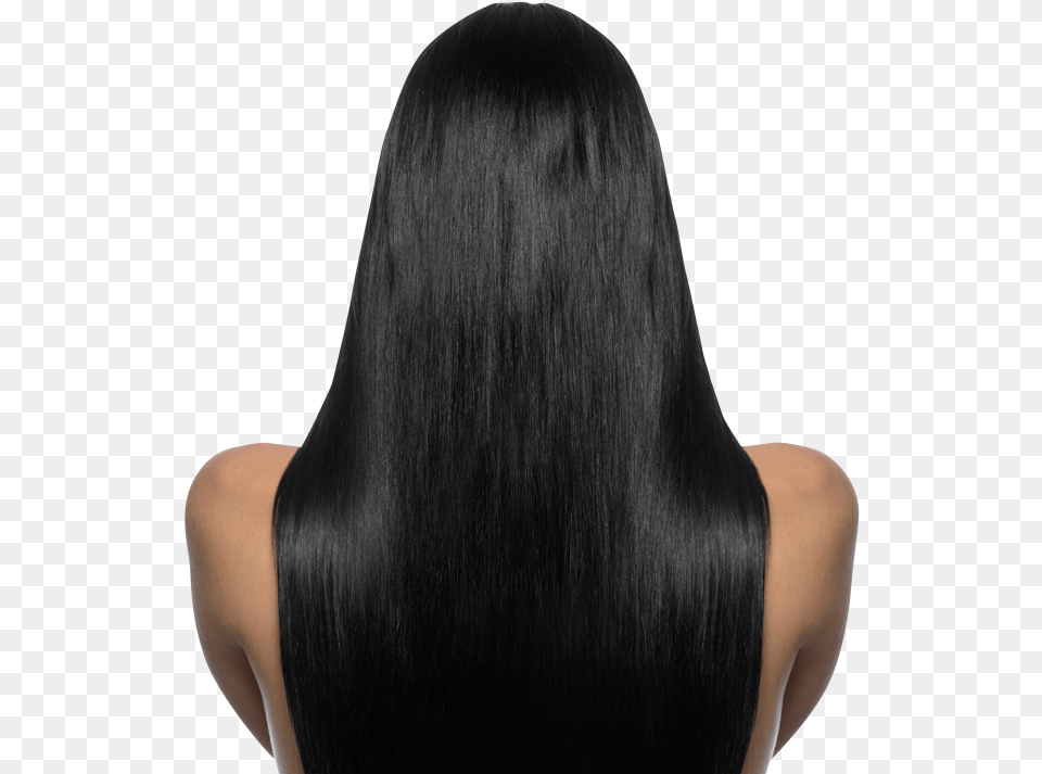 Hair Model Back, Adult, Black Hair, Female, Person Free Png