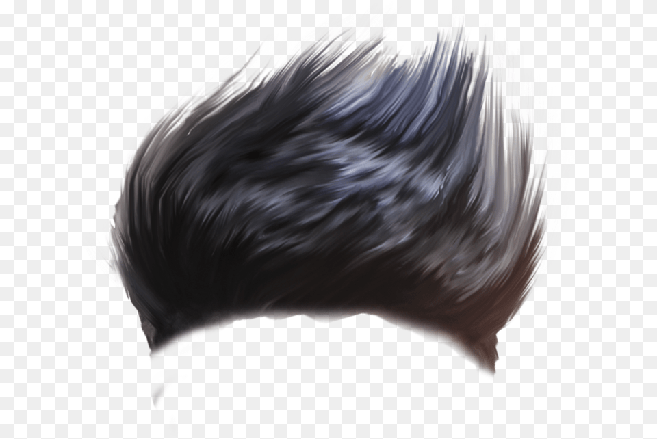 Hair New Hair Download, Animal, Bird, Person, Mohawk Hairstyle Free Transparent Png