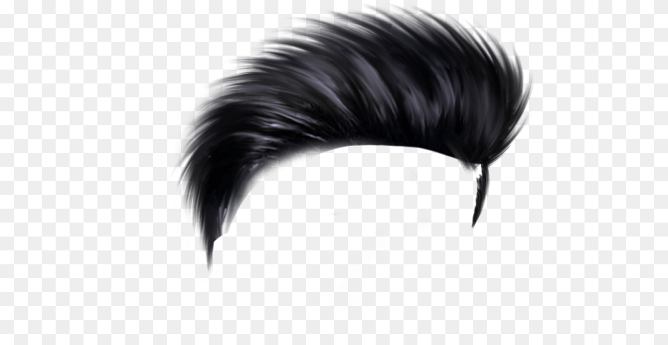 Hair One Side, Adult, Female, Person, Woman Png