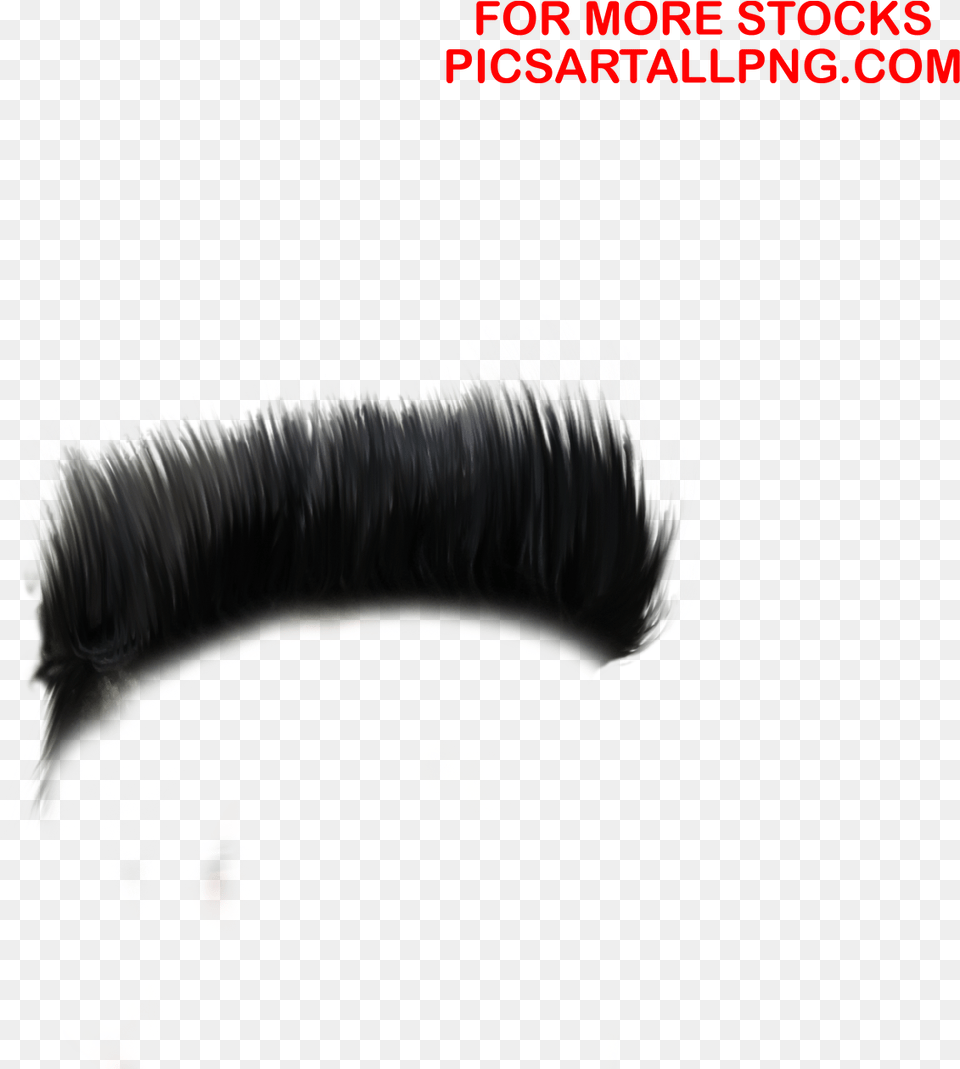 Hair Pngcb Hair Pngpicsartallpng, Plant, Art Free Png