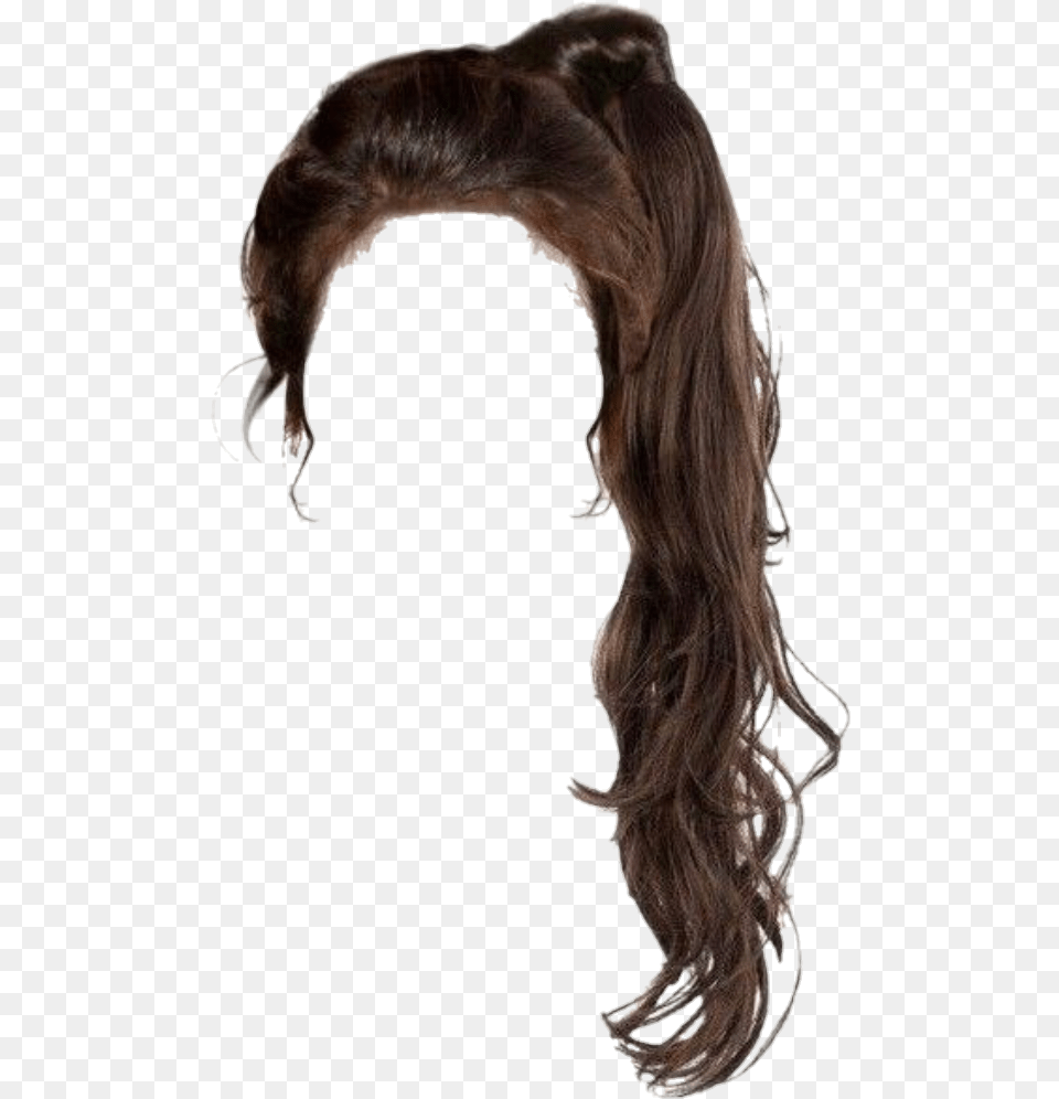 Hair Ponytail Brunette Brown Brownhair Hairup Brown Ponytail Hair, Person, Animal, Kangaroo, Mammal Png Image