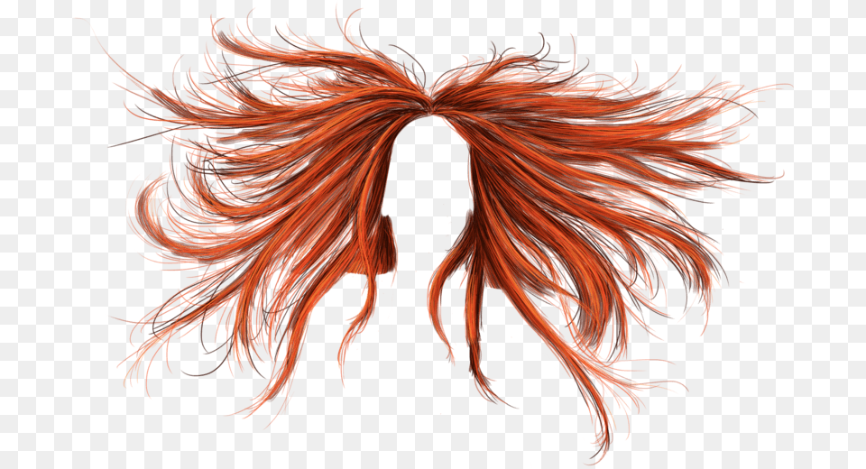 Hair Red, Accessories, Pattern, Plant, Ornament Png Image