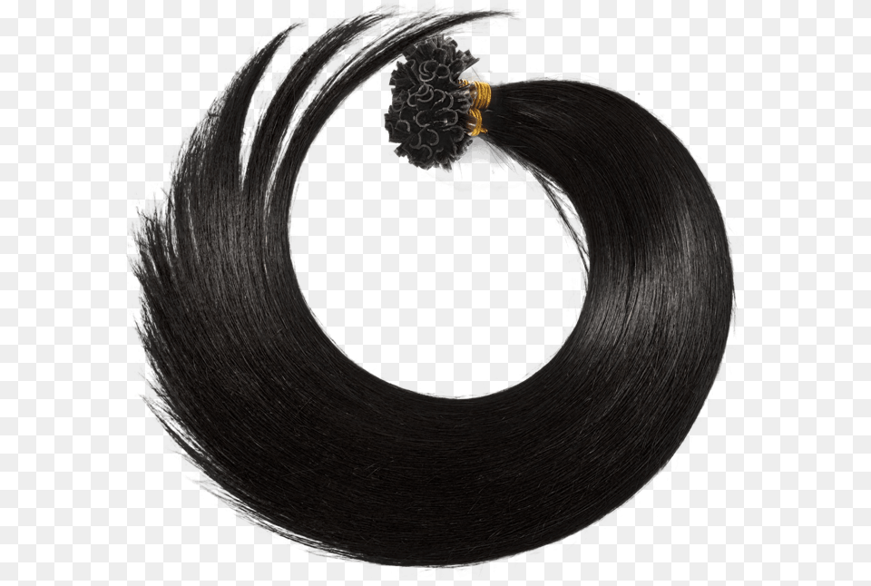 Hair Riah I Extensions U0026 Lashes Hair Design, Coil, Spiral, Wheel, Machine Free Png