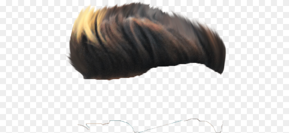 Hair Side Look, Outdoors, Nature, Night, Accessories Png Image
