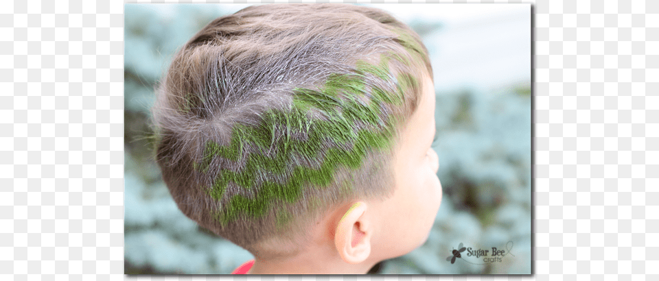 Hair Stenciling Crazy Hair Day Hair, Boy, Child, Male, Person Free Png Download