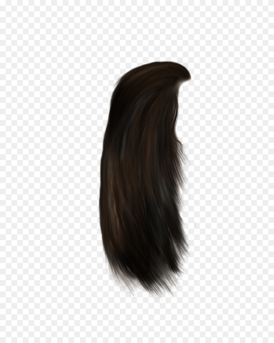 Hair Strand 5 Image Lace Wig, Adult, Female, Person, Woman Png