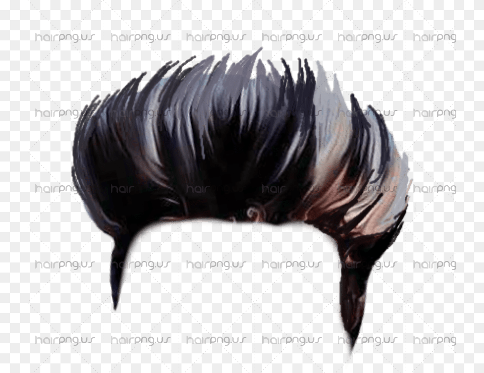 Hair Style Boys, Animal, Beak, Bird, Canine Png