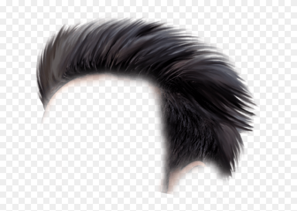 Hair Style Boys Background, Adult, Male, Man, Person Free Png Download