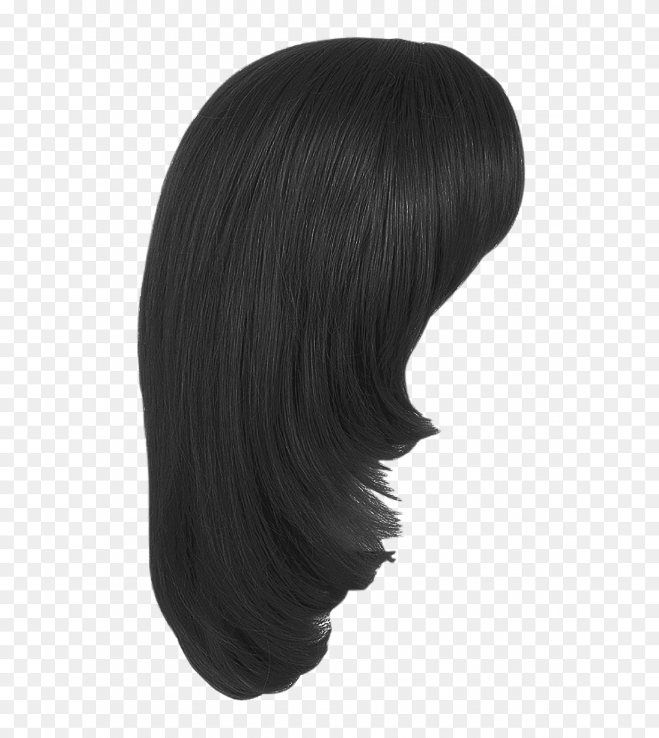 Hair Style Girl Hair Download, Black Hair, Person, Adult, Female Free Png