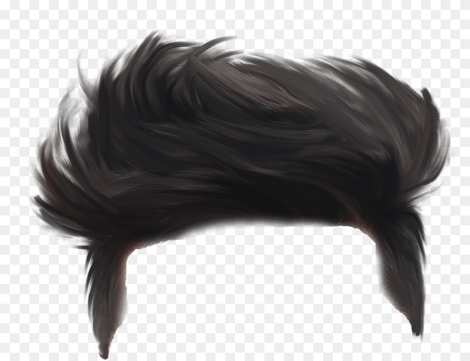 Hair Style Hd, Adult, Female, Person, Woman Free Png