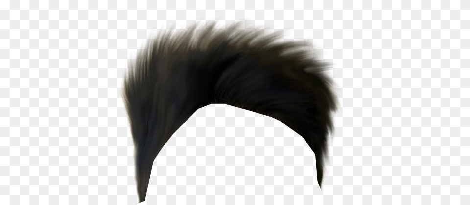 Hair Style Hd Image Of Imagenii Co Format Portable Network Graphics, Animal, Bear, Mammal, Wildlife Free Transparent Png