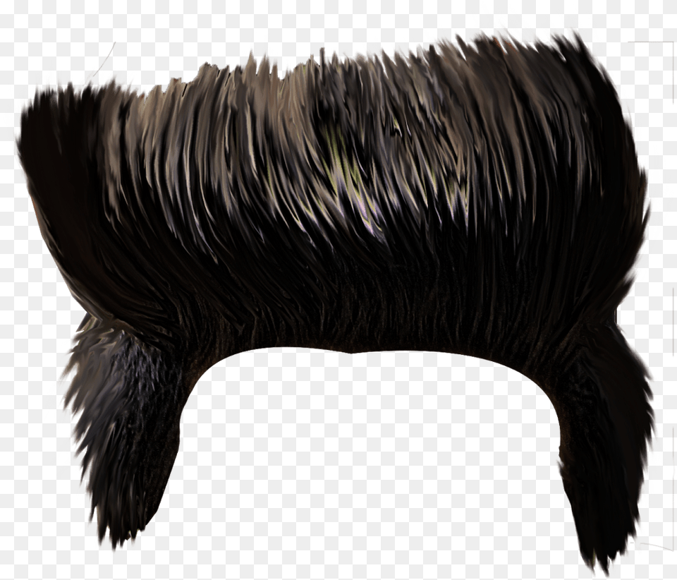 Hair Style Man For Editing, Animal, Bird, Mammal, Boar Free Transparent Png