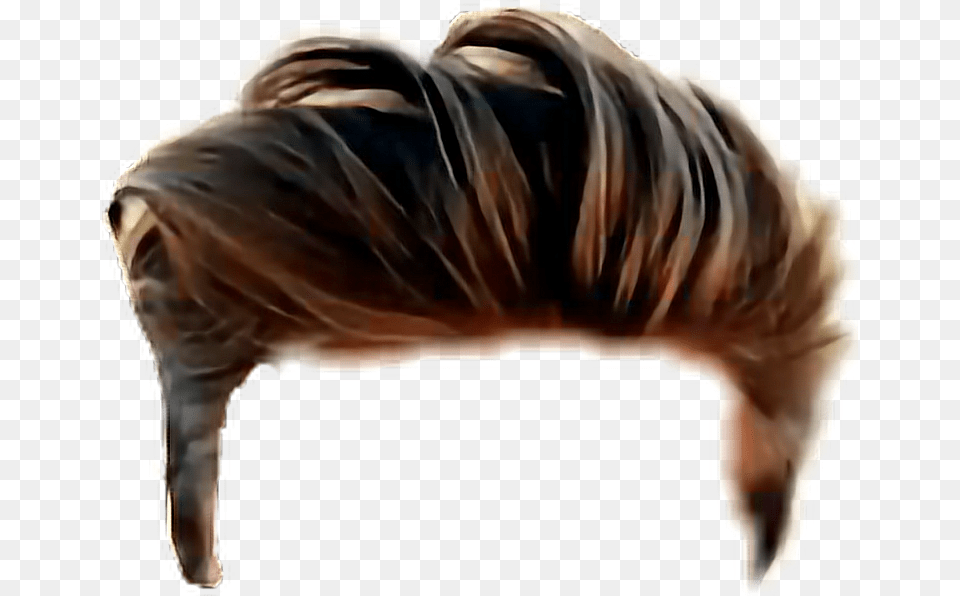 Hair Style Men Sticker, Adult, Female, Person, Woman Free Png Download