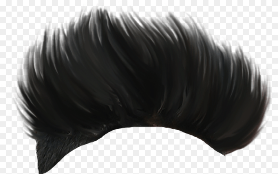 Hair Boy With Black Hair Boy, Person Free Transparent Png