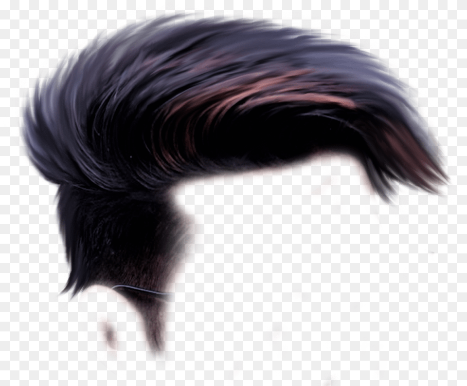 Hair Transparent Boys, Adult, Male, Man, Person Free Png