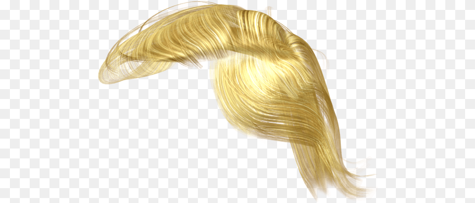 Hair Trump, Blonde, Person, Animal, Bird Free Png