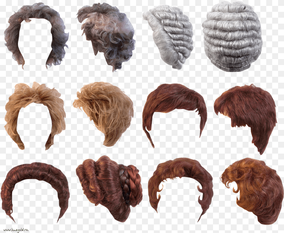 Hair Wig 18th Century Wig Free Png