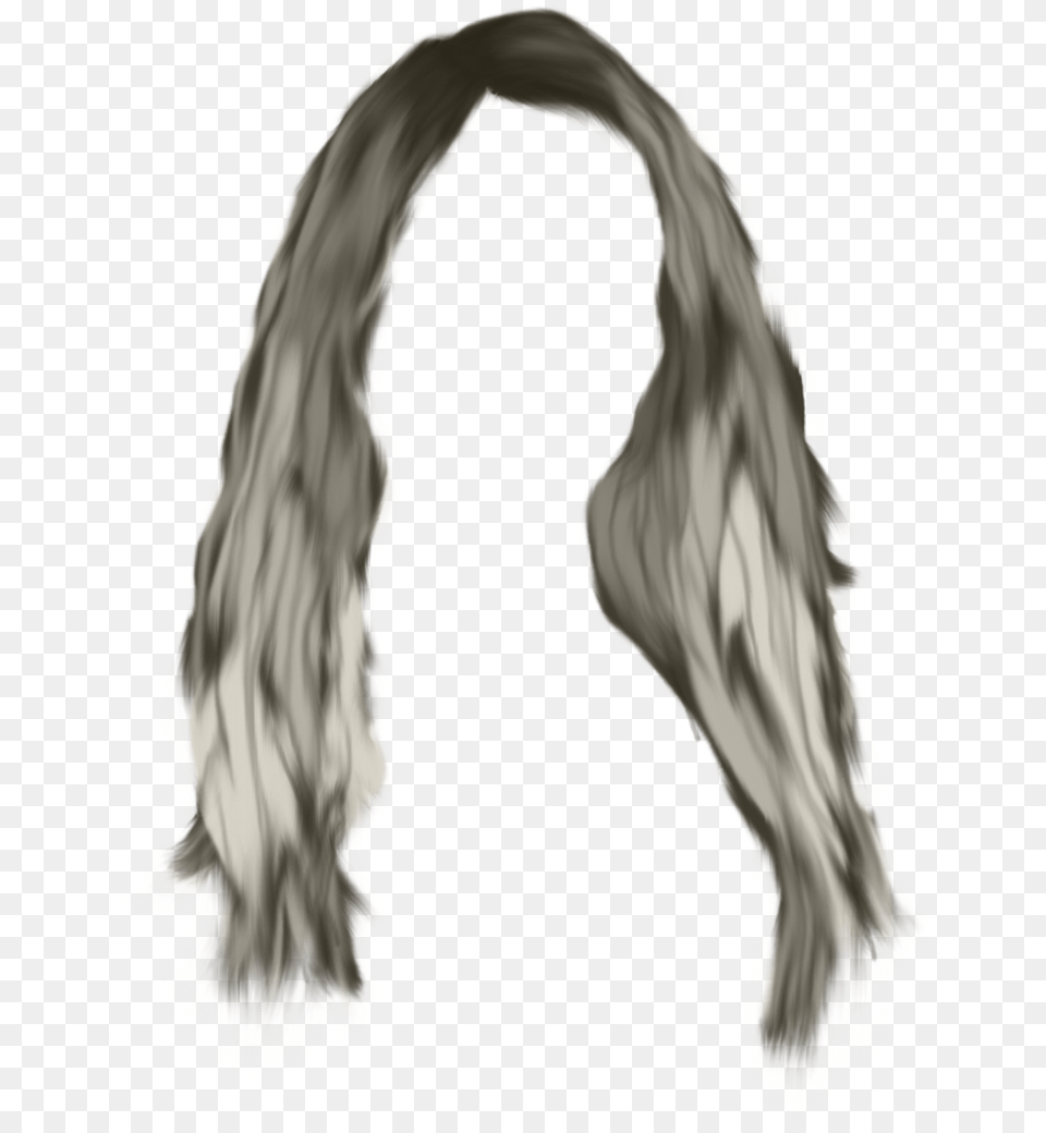 Hair Wig Long Grey Hair, Adult, Bride, Female, Person Png