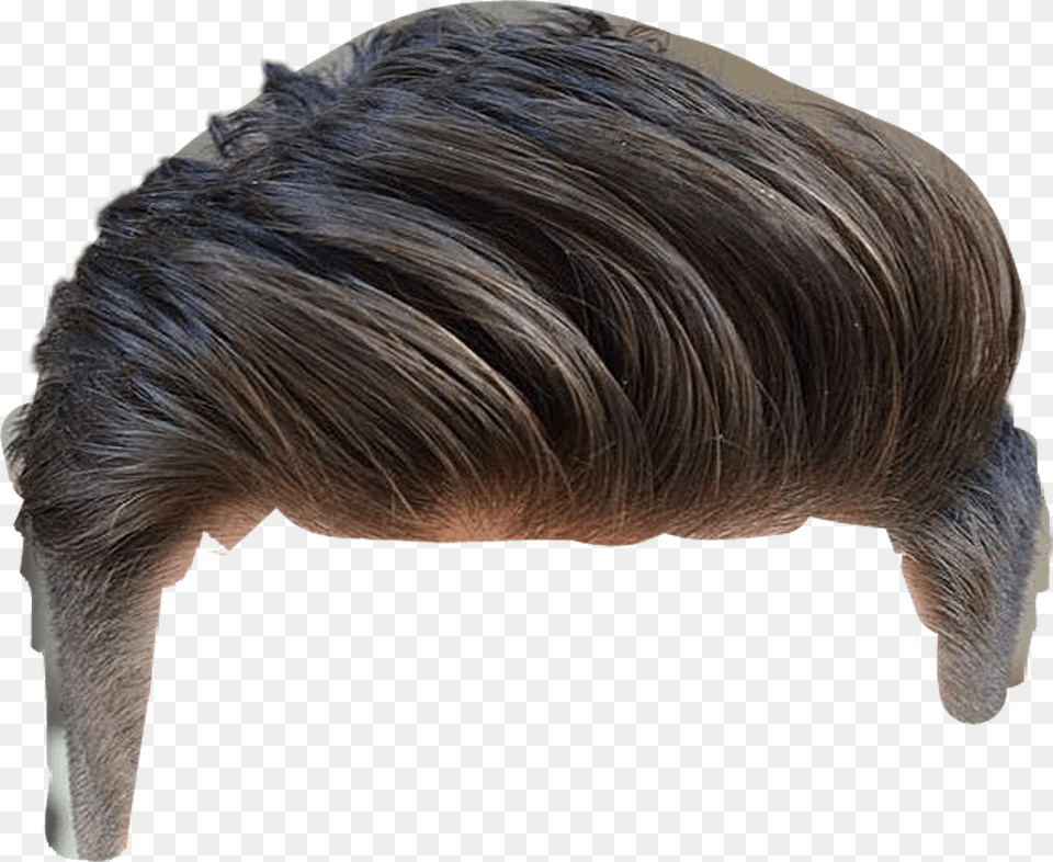 Hair Wig Man, Adult, Female, Person, Woman Png