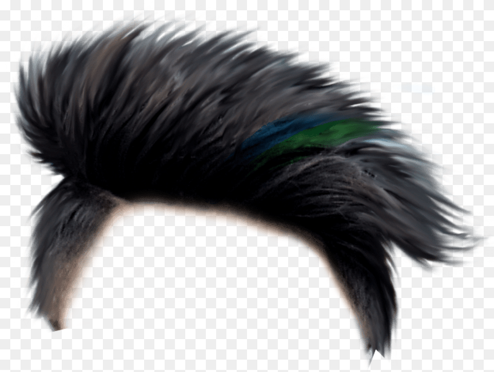 Hair Wig Man Hair Style, Adult, Male, Person, Mohawk Hairstyle Free Transparent Png