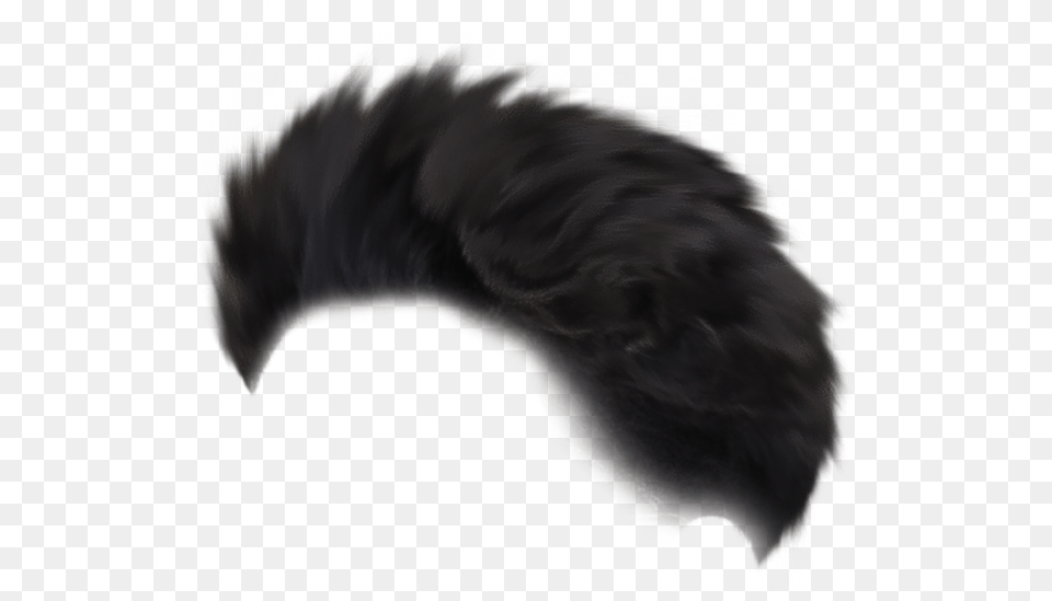Hair Zero Movie Poster Editing Background Quill, Animal, Bird, Clothing, Fur Png Image