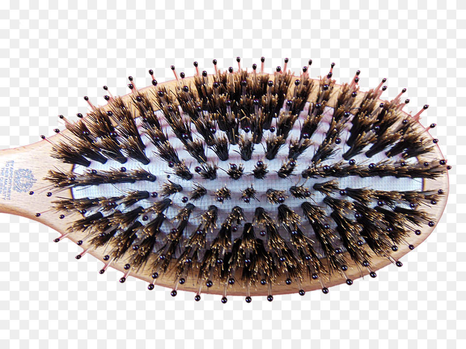 Hairbrush, Brush, Device, Tool Free Transparent Png