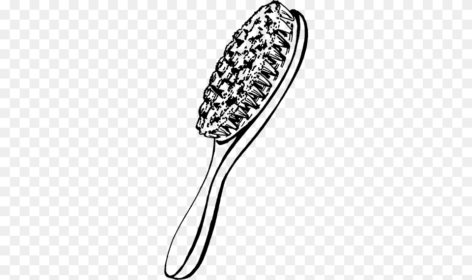 Hairbrush, Gray Png Image