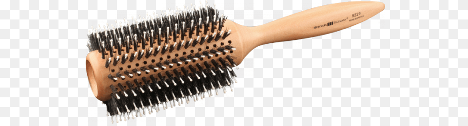 Hairbrush, Brush, Device, Tool, Adult Free Transparent Png