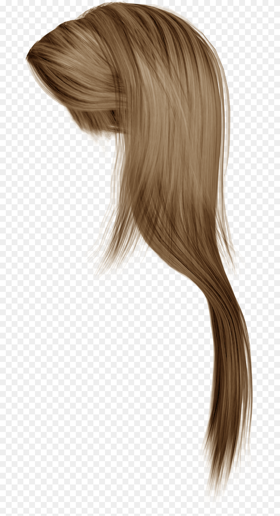 Haircut Clipart Wig Transparent For Transparent Background Hair, Adult, Female, Person, Woman Free Png