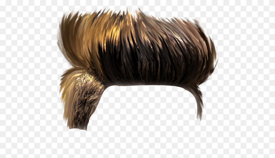 Haircut Pngstickers Hairstyle Pngedit Hairpng Picsart Hair Style, Person Free Png