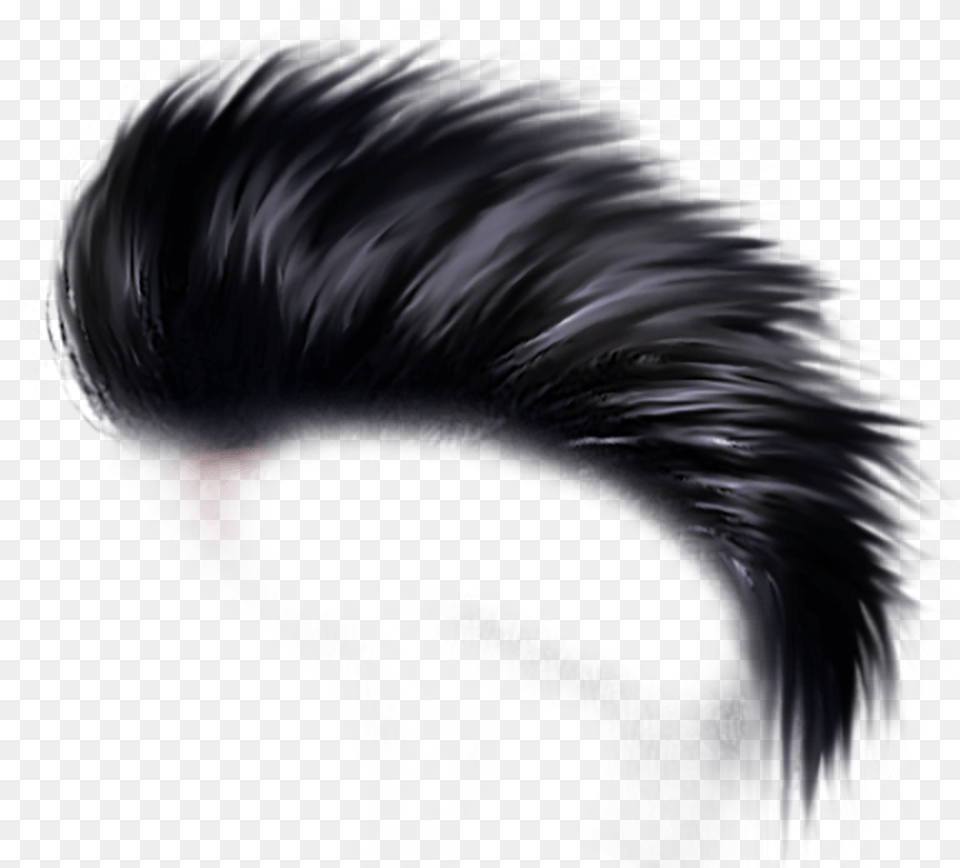 Haircut Transparent Images Hair Hd, Adult, Female, Person, Woman Png