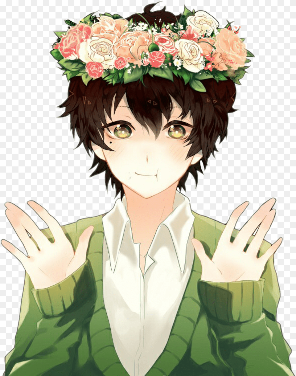 Hairplanthandbrown Characterart Cute Anime Boy With Black Hair, Adult, Person, Woman, Female Png Image